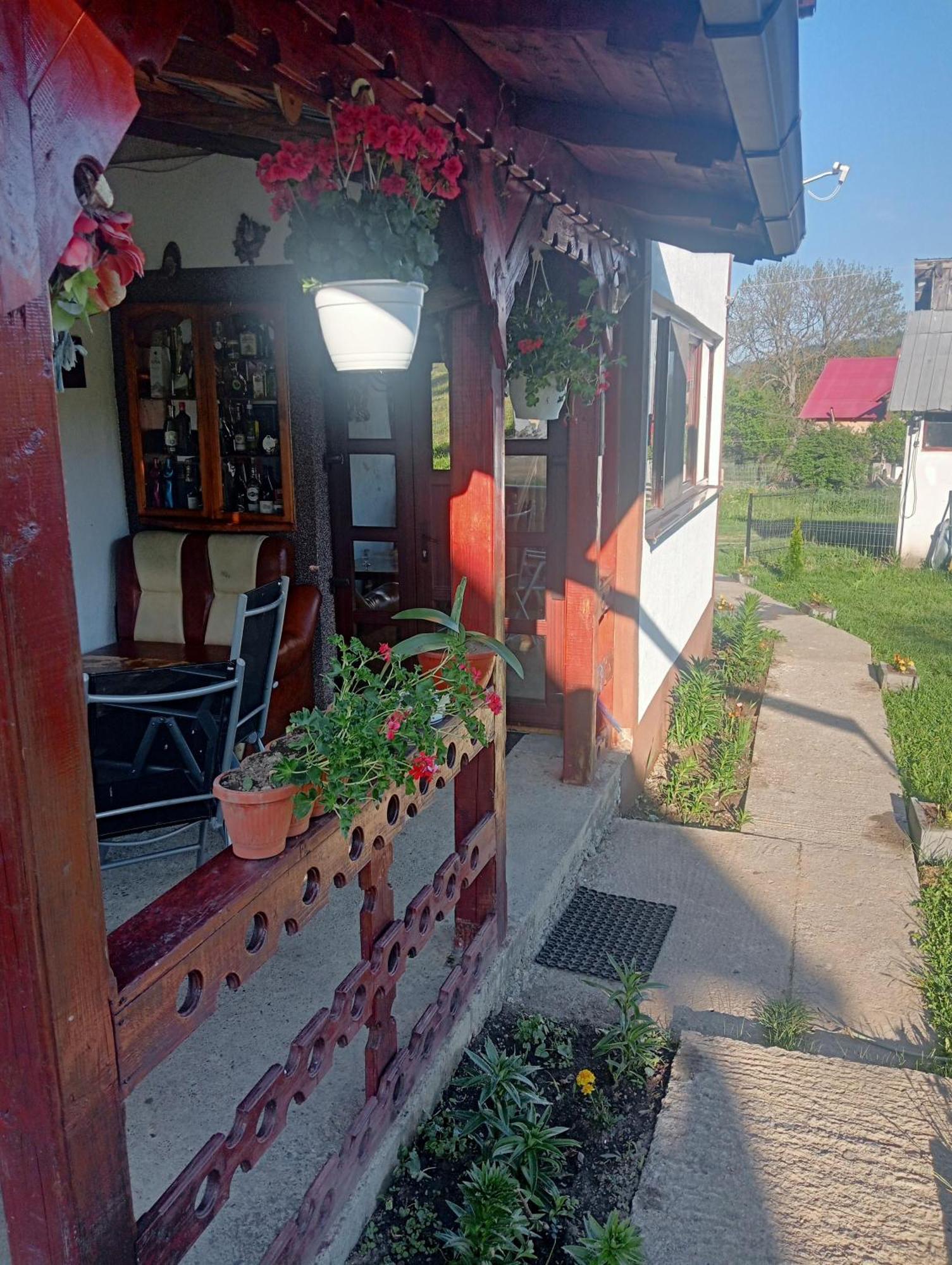 Casa Vasy Vendégház Dornavátra Kültér fotó