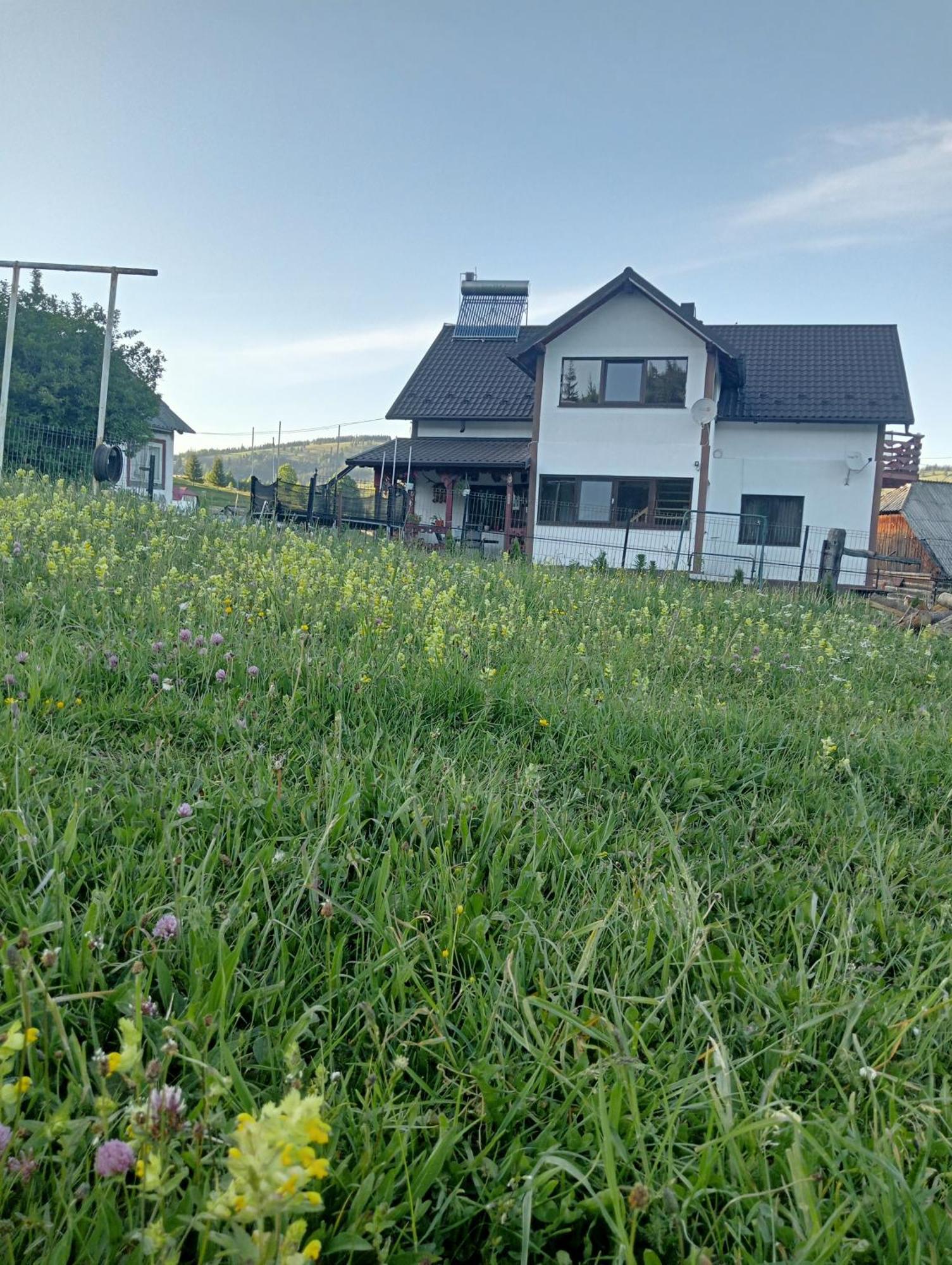 Casa Vasy Vendégház Dornavátra Kültér fotó