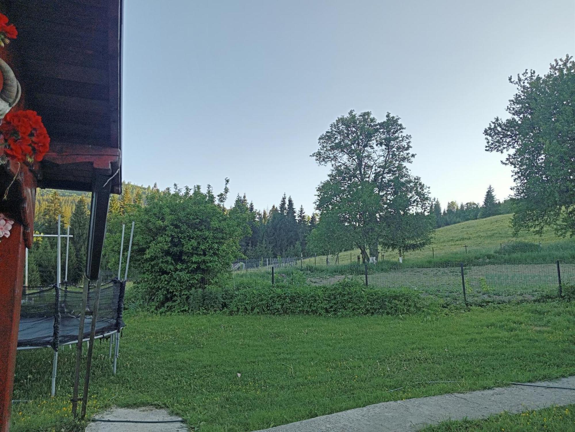 Casa Vasy Vendégház Dornavátra Kültér fotó