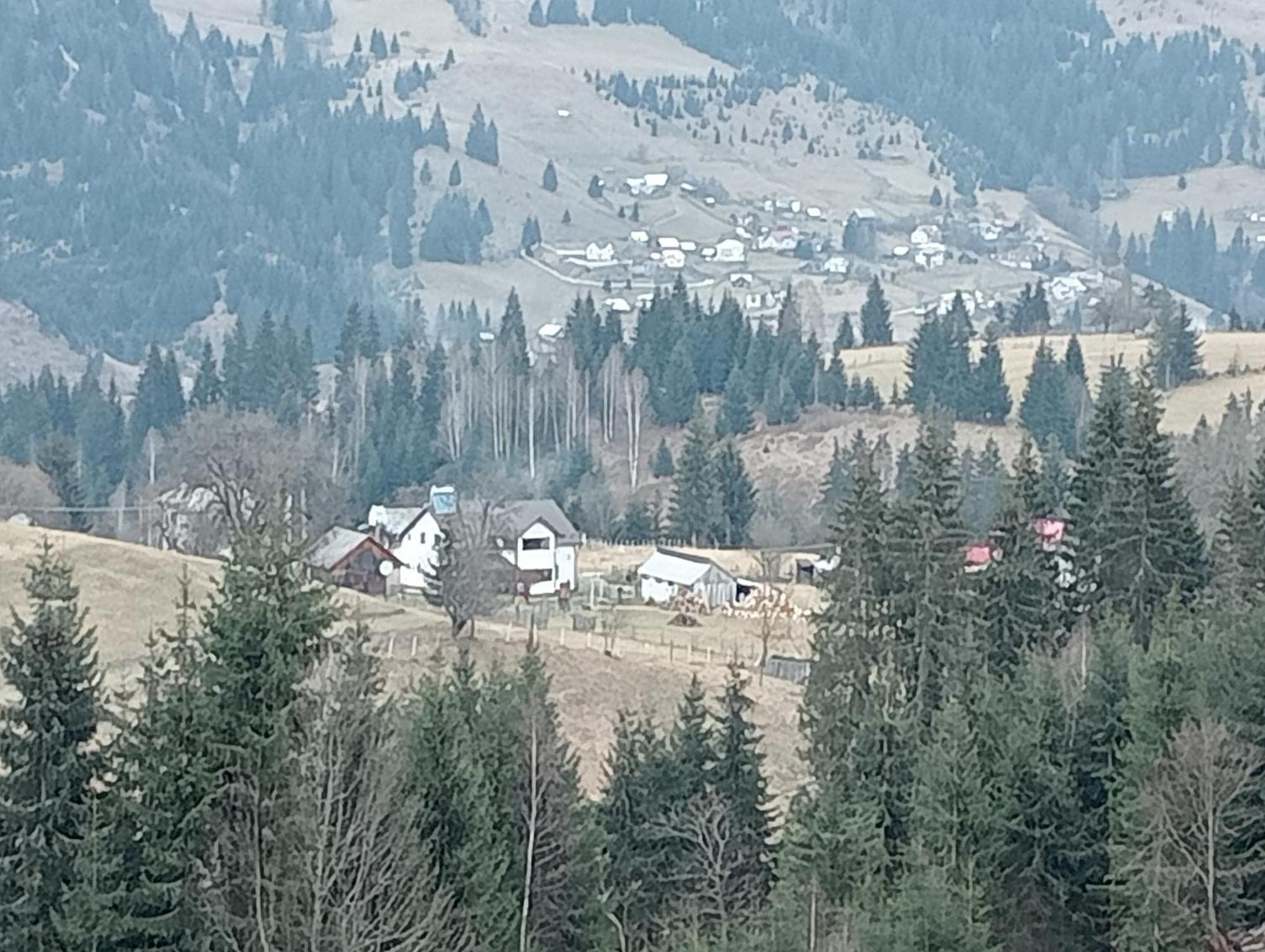 Casa Vasy Vendégház Dornavátra Kültér fotó